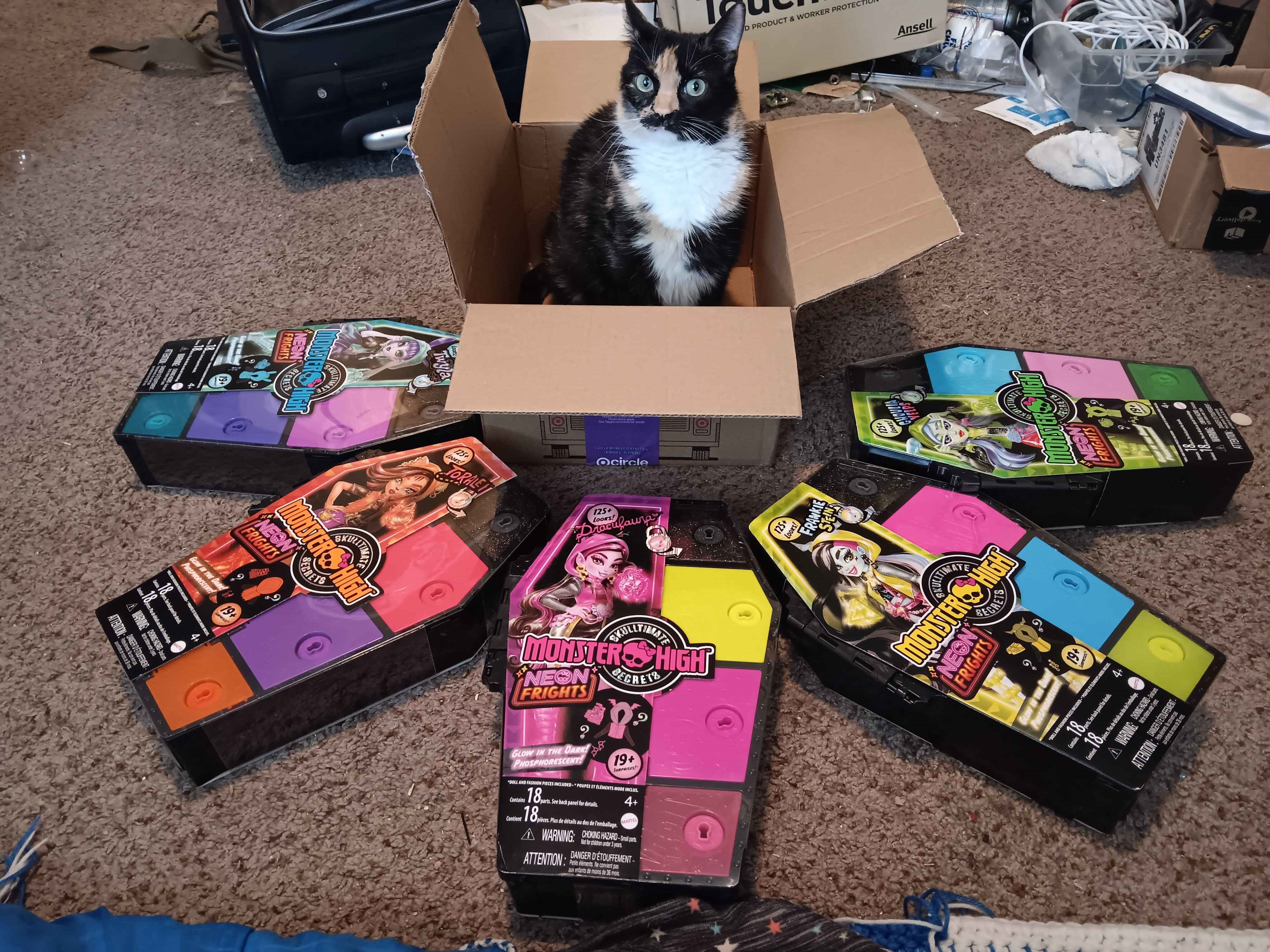 A calico cat in a box surrounded by Monster High Neon Frights