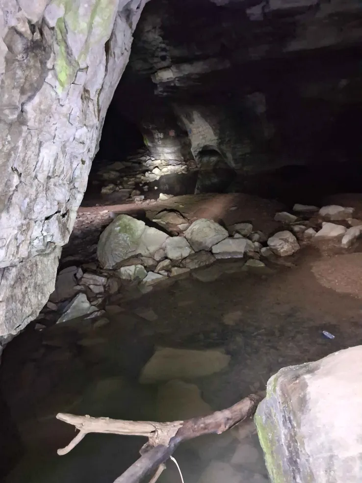 A creek flowing into a cave full of dead wood and small rocks.