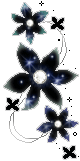shimmering black lilies