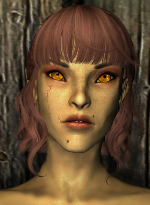 image of a high elf in modded skyrim.