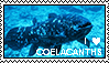I love coelacanths Stamp