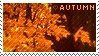 A I love autumn stamp