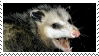 a screaming opossum stamp