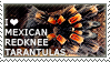 I love red knee tarantulas stamp.